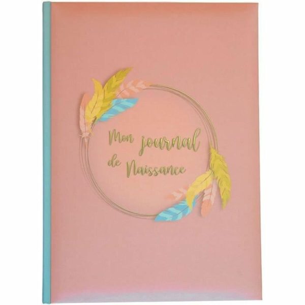 Album Domiva Mon Journal de Naissance For Sale