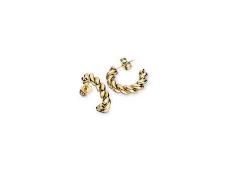 Ladies  Earrings AN Jewels AAC.E05Y For Discount